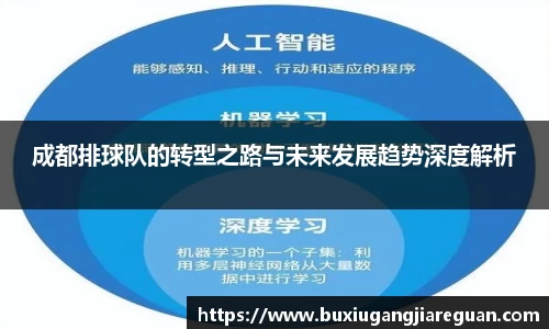 成都排球队的转型之路与未来发展趋势深度解析